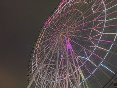 -南昌之星摩天轮