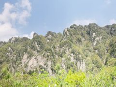 -王顺山国家森林公园