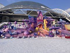 -沈阳奥体冰雪嘉年华