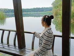 -溱湖国家湿地公园