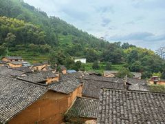-杨家堂村