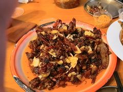 -柴窝堡22号辣子鸡·传承新疆菜