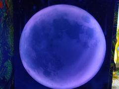 -梵高星空艺术馆(北京旗舰店)