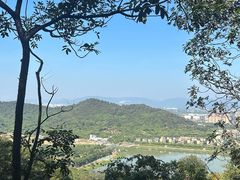 -风云岭森林公园