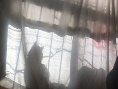 -歌迷量贩KTV(光彩市场店)