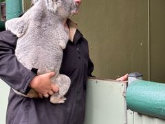 -费瑟代尔野生动物园