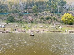 -梅岭月亮湾山体公园