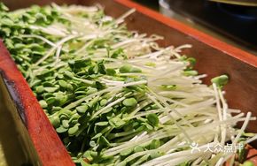 Rice Soup with Radish Sprouts