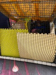 -星际乐园(红博中央公园店)