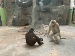 -石家庄市动物园