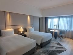 -新加坡乌节希尔顿酒店 (SG Clean)