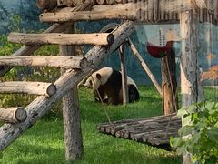 -鄂尔多斯野生动物园