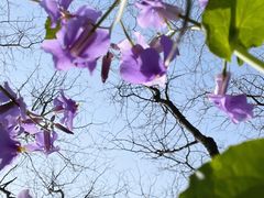 -白塘生态植物园