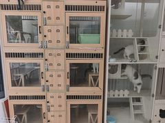 -萌小它宠物健康管理中心(怡海家园店)