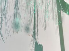 -尊宝比萨(较场口店)