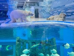 -泉城欧乐堡海洋极地世界