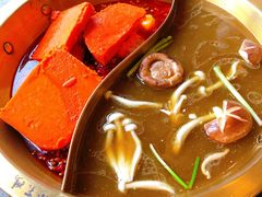 -小天鹅火锅·一线江景洪鼎旗舰店(洪崖洞店)