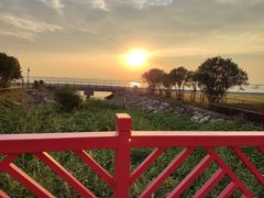 -芒洲湿地公园