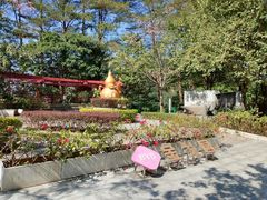 -广州神农草堂中医药博物馆