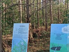 -同里国家湿地公园