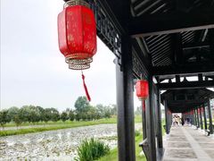 -陶辛水韵