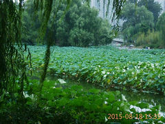 android_upload_pic-紫竹院公园冰场
