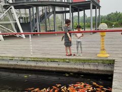 -滕州微山湖红荷湿地景区