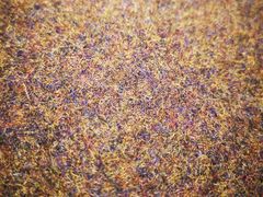 -Dark Horse·黑马蛋糕·低脂·低糖淡奶(金匙望湖大厦店)