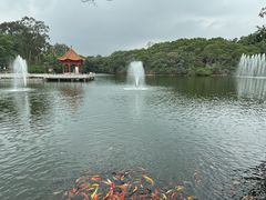 -广州莲花山旅游区
