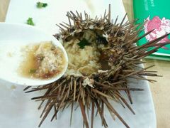 海胆蒸蛋-海岛渔村大酒店(云霄路店)