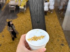 -自如ZSPACE四合院艺术餐厅