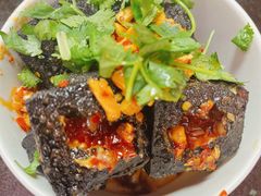 -黑色经典臭豆腐·湖南特产(太平街口店)