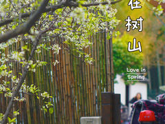 -树山生态村