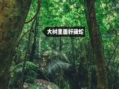 -七仙岭温泉国家森林公园