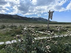 -扁都口生态休闲旅游区