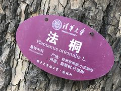 -清华大学-清芬园