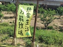 -秀丽东方