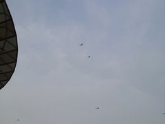 -光明小镇欢乐田园