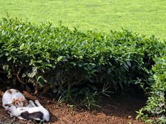 -敬亭山风景名胜区