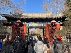 -大槐树寻根祭祖园