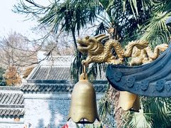 -泰州凤城河风景区-泰山公园