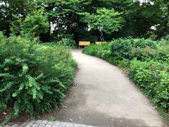 -井之头恩赐公园