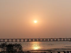 -宝安西湾红树林湿地公园