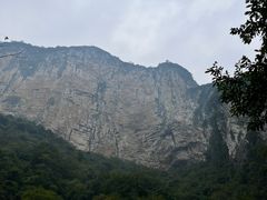 -武陵山森林公园