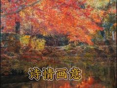 -秋霞圃