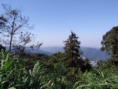 -广州市帽峰山景区