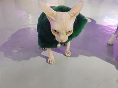 -极木²邸 人与宠物·互动社区