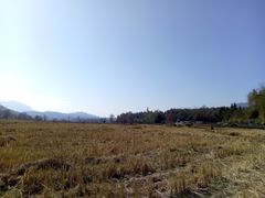 -塔川景区