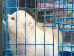 -宠爱我(南山店)