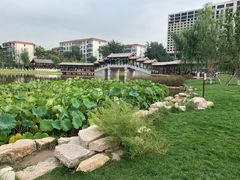 -西海子公园